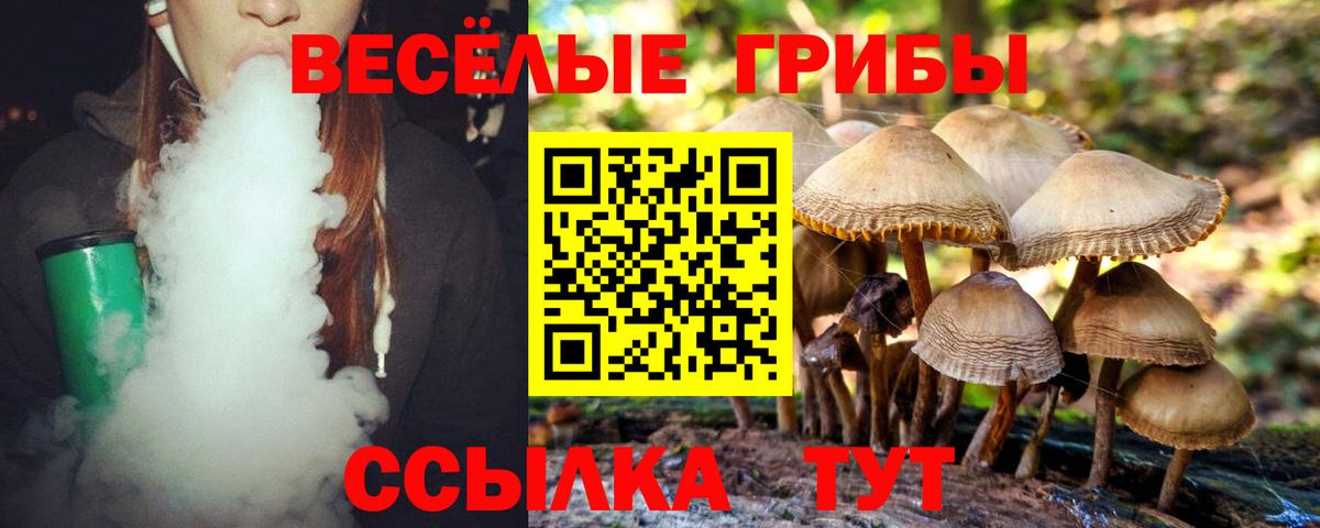 Кириши  Галлюциногенные грибы ЛСД  Вход с VPN 